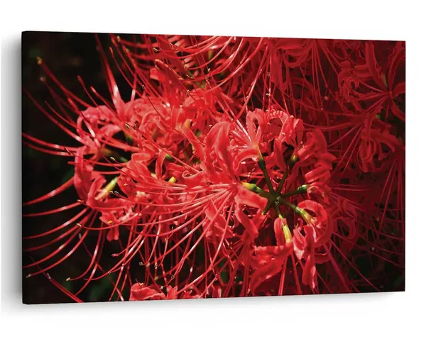 Multicolor_16_X_24_Inch,_Pine_Wood_Framed_Canvas_Paintings_|_For_Home_Decor,_Ready_To_Wall_Hanging,_Premium_Painting_|_For_|_Bedroom,_Living_Room,_Office_Wall_Decoration_|_Wall_Art_Painting,_Ct1513