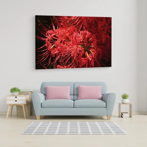 Multicolor_16_X_24_Inch,_Pine_Wood_Framed_Canvas_Paintings_|_For_Home_Decor,_Ready_To_Wall_Hanging,_Premium_Painting_|_For_|_Bedroom,_Living_Room,_Office_Wall_Decoration_|_Wall_Art_Painting,_Ct1513