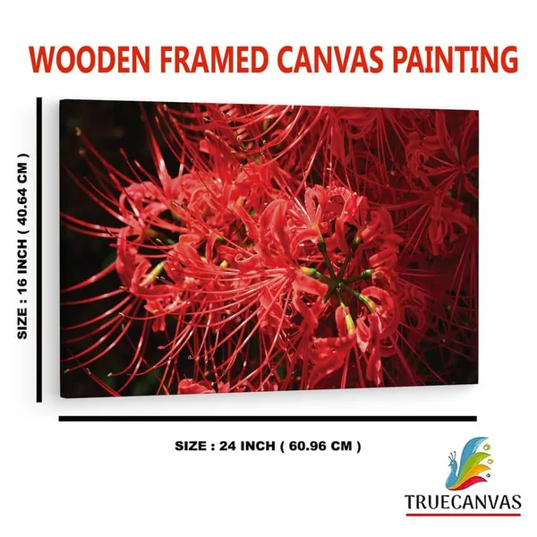 Multicolor_16_X_24_Inch,_Pine_Wood_Framed_Canvas_Paintings_|_For_Home_Decor,_Ready_To_Wall_Hanging,_Premium_Painting_|_For_|_Bedroom,_Living_Room,_Office_Wall_Decoration_|_Wall_Art_Painting,_Ct1513