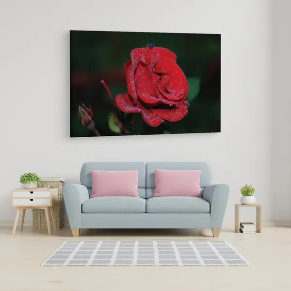 Multicolor_16_X_24_Inch,_Pine_Wood_Framed_Canvas_Paintings_|_For_Home_Decor,_Ready_To_Wall_Hanging,_Premium_Painting_|_For_|_Bedroom,_Living_Room,_Office_Wall_Decoration_|_Wall_Art_Painting,_Ct1515