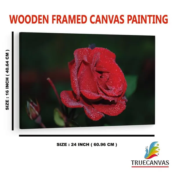 Multicolor_16_X_24_Inch,_Pine_Wood_Framed_Canvas_Paintings_|_For_Home_Decor,_Ready_To_Wall_Hanging,_Premium_Painting_|_For_|_Bedroom,_Living_Room,_Office_Wall_Decoration_|_Wall_Art_Painting,_Ct1515