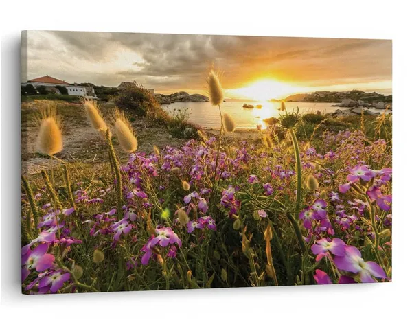 Multicolor_16_X_24_Inch,_Pine_Wood_Framed_Canvas_Paintings_|_For_Home_Decor,_Ready_To_Wall_Hanging,_Premium_Painting_|_For_|_Bedroom,_Living_Room,_Office_Wall_Decoration_|_Wall_Art_Painting,_Ct1517