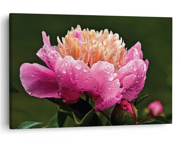 Multicolor_16_X_24_Inch,_Pine_Wood_Framed_Canvas_Paintings_|_For_Home_Decor,_Ready_To_Wall_Hanging,_Premium_Painting_|_For_|_Bedroom,_Living_Room,_Office_Wall_Decoration_|_Wall_Art_Painting,_Ct1519