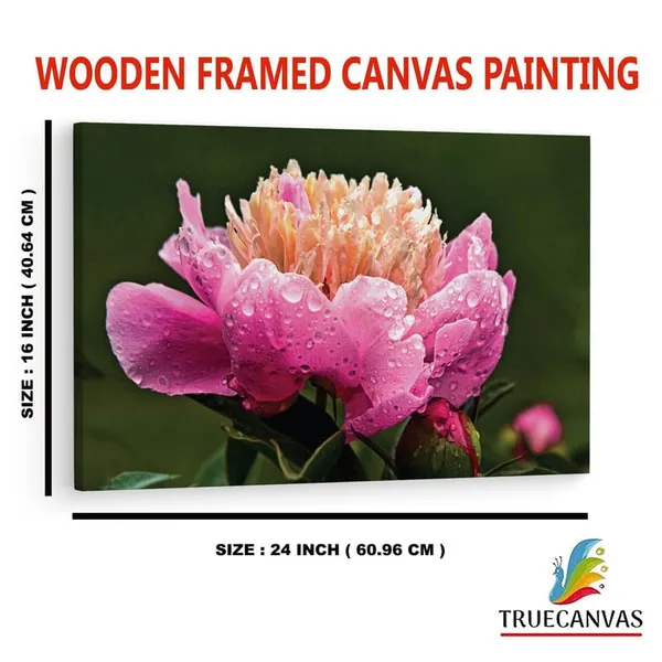 Multicolor_16_X_24_Inch,_Pine_Wood_Framed_Canvas_Paintings_|_For_Home_Decor,_Ready_To_Wall_Hanging,_Premium_Painting_|_For_|_Bedroom,_Living_Room,_Office_Wall_Decoration_|_Wall_Art_Painting,_Ct1519