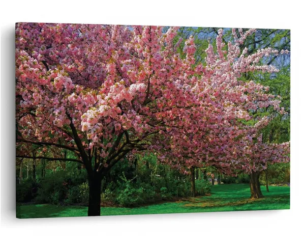 Multicolor_16_X_24_Inch,_Pine_Wood_Framed_Canvas_Paintings_|_For_Home_Decor,_Ready_To_Wall_Hanging,_Premium_Painting_|_For_|_Bedroom,_Living_Room,_Office_Wall_Decoration_|_Wall_Art_Painting,_Ct1520