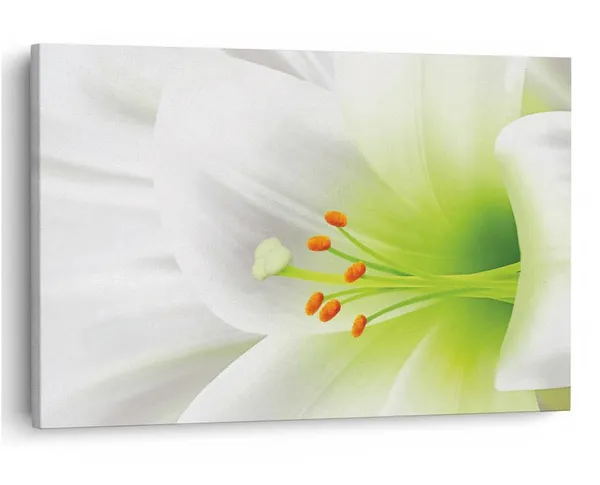 Multicolor_16_X_24_Inch,_Pine_Wood_Framed_Canvas_Paintings_|_For_Home_Decor,_Ready_To_Wall_Hanging,_Premium_Painting_|_For_|_Bedroom,_Living_Room,_Office_Wall_Decoration_|_Wall_Art_Painting,_Ct1521