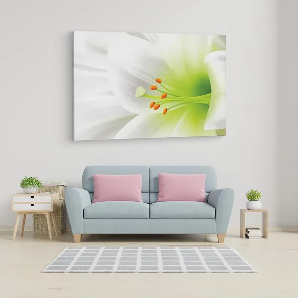 Multicolor_16_X_24_Inch,_Pine_Wood_Framed_Canvas_Paintings_|_For_Home_Decor,_Ready_To_Wall_Hanging,_Premium_Painting_|_For_|_Bedroom,_Living_Room,_Office_Wall_Decoration_|_Wall_Art_Painting,_Ct1521