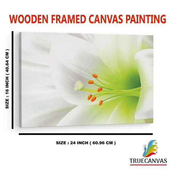Multicolor_16_X_24_Inch,_Pine_Wood_Framed_Canvas_Paintings_|_For_Home_Decor,_Ready_To_Wall_Hanging,_Premium_Painting_|_For_|_Bedroom,_Living_Room,_Office_Wall_Decoration_|_Wall_Art_Painting,_Ct1521