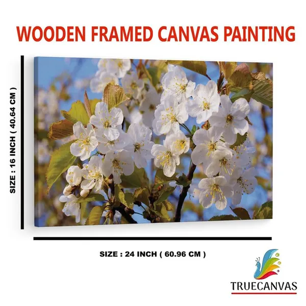 Multicolor_16_X_24_Inch,_Pine_Wood_Framed_Canvas_Paintings_|_For_Home_Decor,_Ready_To_Wall_Hanging,_Premium_Painting_|_For_|_Bedroom,_Living_Room,_Office_Wall_Decoration_|_Wall_Art_Painting,_Ct1525