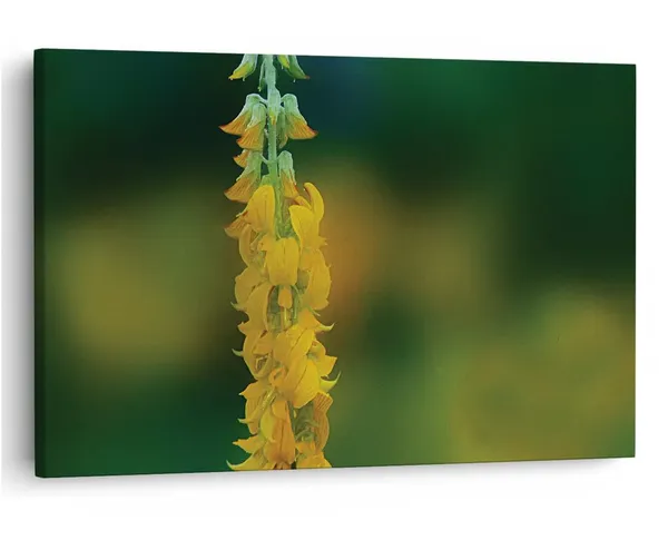 Multicolor_16_X_24_Inch,_Pine_Wood_Framed_Canvas_Paintings_|_For_Home_Decor,_Ready_To_Wall_Hanging,_Premium_Painting_|_For_|_Bedroom,_Living_Room,_Office_Wall_Decoration_|_Wall_Art_Painting,_Ct1527