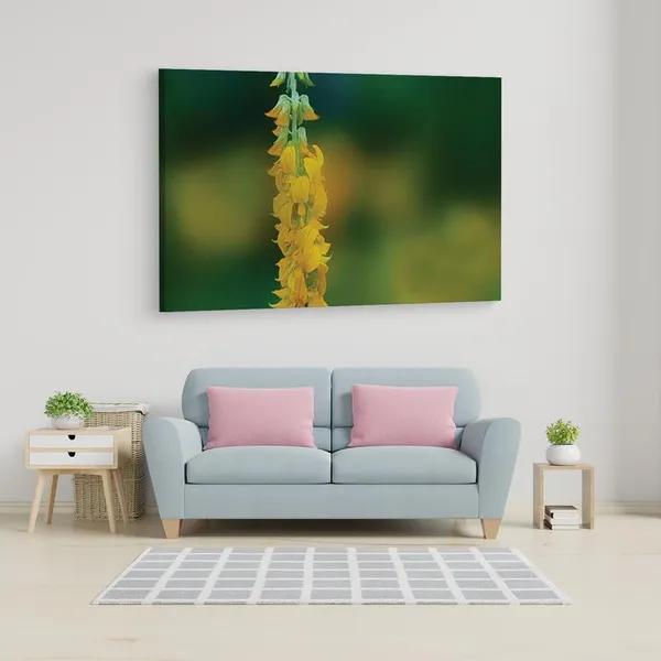 Multicolor_16_X_24_Inch,_Pine_Wood_Framed_Canvas_Paintings_|_For_Home_Decor,_Ready_To_Wall_Hanging,_Premium_Painting_|_For_|_Bedroom,_Living_Room,_Office_Wall_Decoration_|_Wall_Art_Painting,_Ct1527