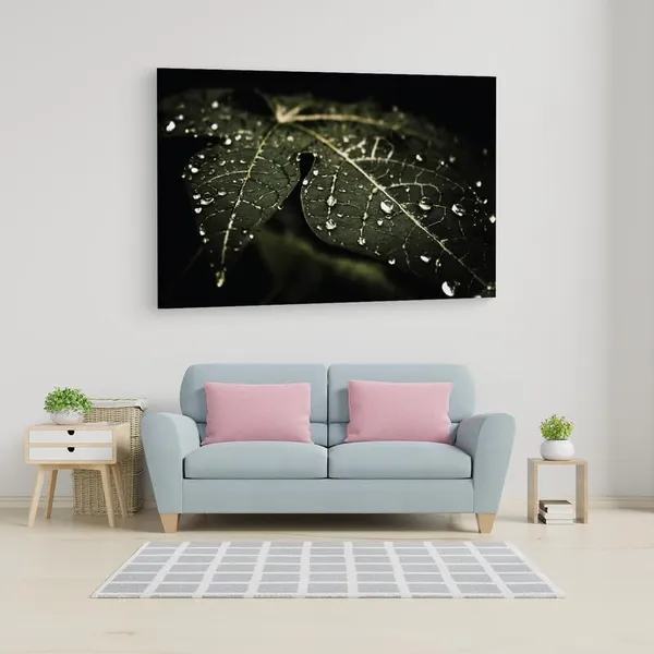 Multicolor_16_X_24_Inch,_Pine_Wood_Framed_Canvas_Paintings_|_For_Home_Decor,_Ready_To_Wall_Hanging,_Premium_Painting_|_For_|_Bedroom,_Living_Room,_Office_Wall_Decoration_|_Wall_Art_Painting,_Ct1528