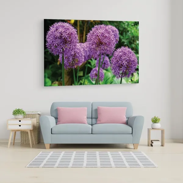 Multicolor_16_X_24_Inch,_Pine_Wood_Framed_Canvas_Paintings_|_For_Home_Decor,_Ready_To_Wall_Hanging,_Premium_Painting_|_For_|_Bedroom,_Living_Room,_Office_Wall_Decoration_|_Wall_Art_Painting,_Ct1529