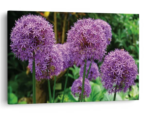 Multicolor_16_X_24_Inch,_Pine_Wood_Framed_Canvas_Paintings_|_For_Home_Decor,_Ready_To_Wall_Hanging,_Premium_Painting_|_For_|_Bedroom,_Living_Room,_Office_Wall_Decoration_|_Wall_Art_Painting,_Ct1529