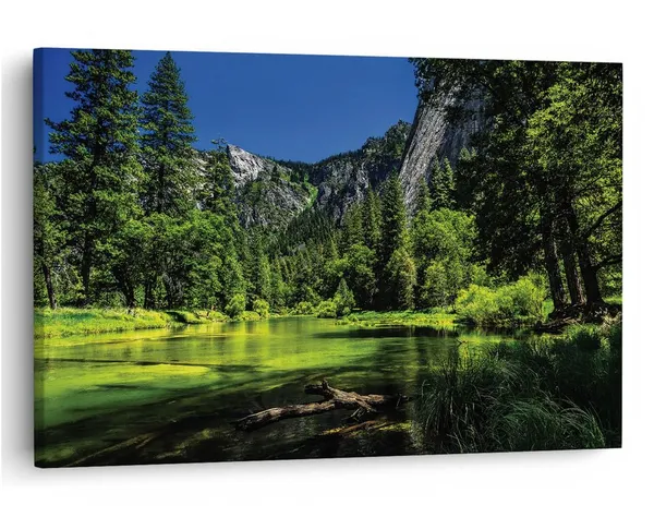 Multicolor_16_X_24_Inch,_Pine_Wood_Framed_Canvas_Paintings_|_For_Home_Decor,_Ready_To_Wall_Hanging,_Premium_Painting_|_For_|_Bedroom,_Living_Room,_Office_Wall_Decoration_|_Wall_Art_Painting,_Ct1534