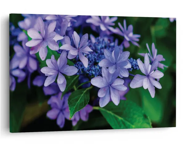 Multicolor_16_X_24_Inch,_Pine_Wood_Framed_Canvas_Paintings_|_For_Home_Decor,_Ready_To_Wall_Hanging,_Premium_Painting_|_For_|_Bedroom,_Living_Room,_Office_Wall_Decoration_|_Wall_Art_Painting,_Ct1538