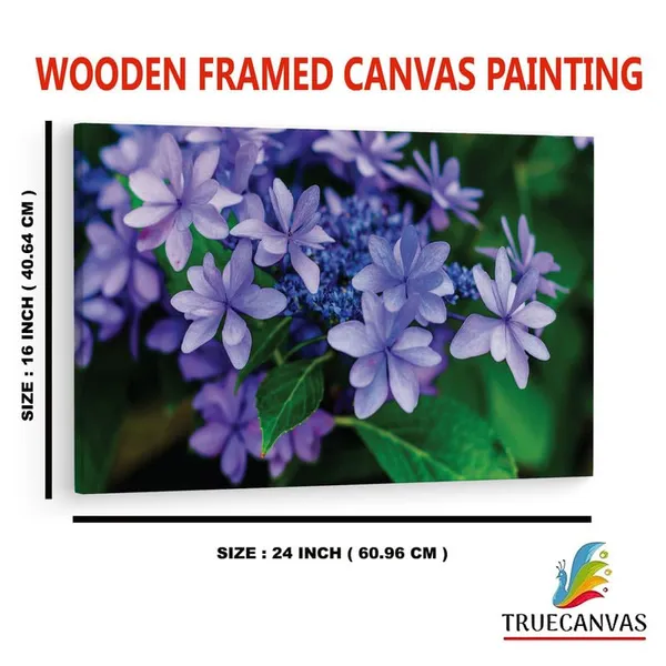 Multicolor_16_X_24_Inch,_Pine_Wood_Framed_Canvas_Paintings_|_For_Home_Decor,_Ready_To_Wall_Hanging,_Premium_Painting_|_For_|_Bedroom,_Living_Room,_Office_Wall_Decoration_|_Wall_Art_Painting,_Ct1538