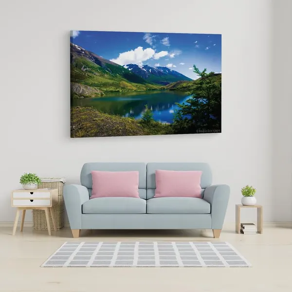 Multicolor_16_X_24_Inch,_Pine_Wood_Framed_Canvas_Paintings_|_For_Home_Decor,_Ready_To_Wall_Hanging,_Premium_Painting_|_For_|_Bedroom,_Living_Room,_Office_Wall_Decoration_|_Wall_Art_Painting,_Ct1540