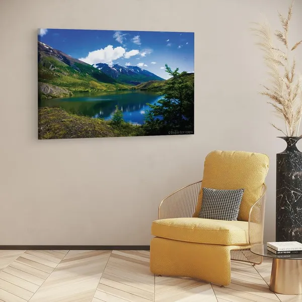 Multicolor_16_X_24_Inch,_Pine_Wood_Framed_Canvas_Paintings_|_For_Home_Decor,_Ready_To_Wall_Hanging,_Premium_Painting_|_For_|_Bedroom,_Living_Room,_Office_Wall_Decoration_|_Wall_Art_Painting,_Ct1540