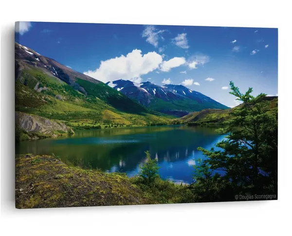 Multicolor_16_X_24_Inch,_Pine_Wood_Framed_Canvas_Paintings_|_For_Home_Decor,_Ready_To_Wall_Hanging,_Premium_Painting_|_For_|_Bedroom,_Living_Room,_Office_Wall_Decoration_|_Wall_Art_Painting,_Ct1540