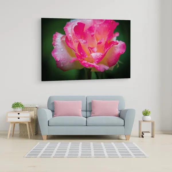Multicolor_16_X_24_Inch,_Pine_Wood_Framed_Canvas_Paintings_|_For_Home_Decor,_Ready_To_Wall_Hanging,_Premium_Painting_|_For_|_Bedroom,_Living_Room,_Office_Wall_Decoration_|_Wall_Art_Painting,_Ct1541