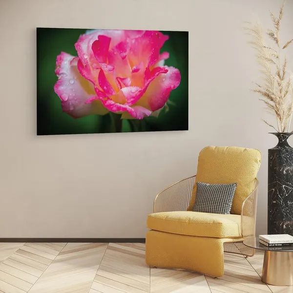 Multicolor_16_X_24_Inch,_Pine_Wood_Framed_Canvas_Paintings_|_For_Home_Decor,_Ready_To_Wall_Hanging,_Premium_Painting_|_For_|_Bedroom,_Living_Room,_Office_Wall_Decoration_|_Wall_Art_Painting,_Ct1541