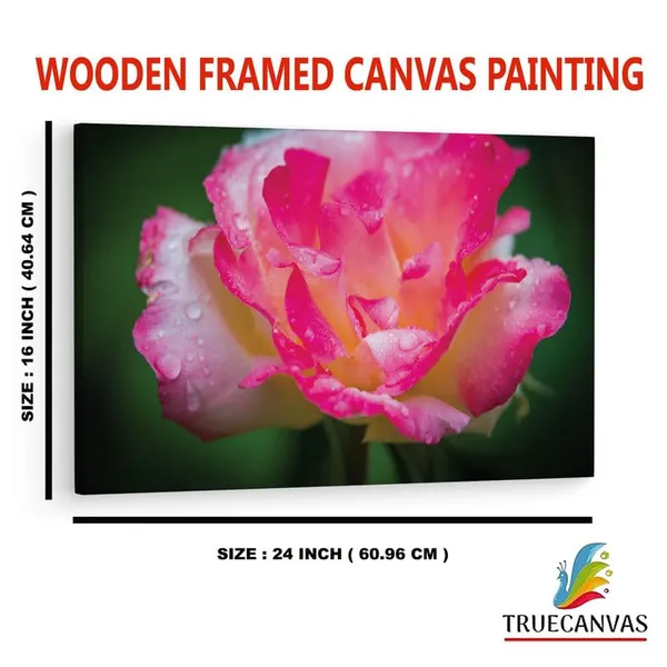 Multicolor_16_X_24_Inch,_Pine_Wood_Framed_Canvas_Paintings_|_For_Home_Decor,_Ready_To_Wall_Hanging,_Premium_Painting_|_For_|_Bedroom,_Living_Room,_Office_Wall_Decoration_|_Wall_Art_Painting,_Ct1541