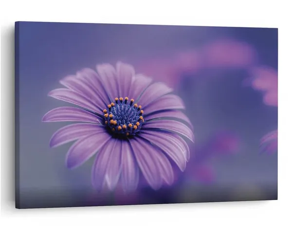 Multicolor_16_X_24_Inch,_Pine_Wood_Framed_Canvas_Paintings_|_For_Home_Decor,_Ready_To_Wall_Hanging,_Premium_Painting_|_For_|_Bedroom,_Living_Room,_Office_Wall_Decoration_|_Wall_Art_Painting,_Ct1542