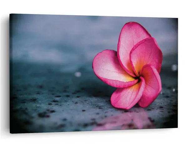 Multicolor_16_X_24_Inch,_Pine_Wood_Framed_Canvas_Paintings_|_For_Home_Decor,_Ready_To_Wall_Hanging,_Premium_Painting_|_For_|_Bedroom,_Living_Room,_Office_Wall_Decoration_|_Wall_Art_Painting,_Ct1543