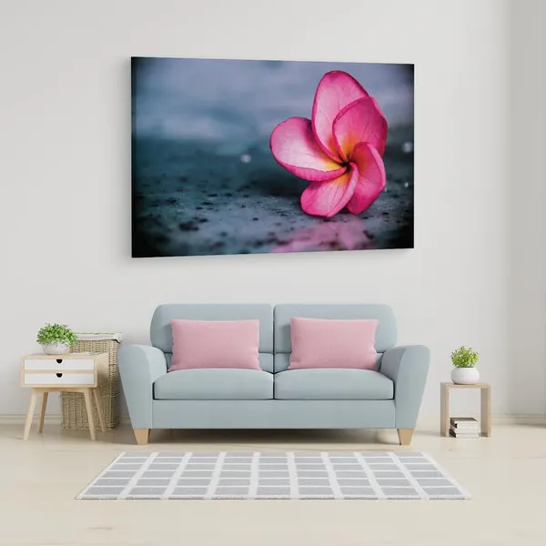 Multicolor_16_X_24_Inch,_Pine_Wood_Framed_Canvas_Paintings_|_For_Home_Decor,_Ready_To_Wall_Hanging,_Premium_Painting_|_For_|_Bedroom,_Living_Room,_Office_Wall_Decoration_|_Wall_Art_Painting,_Ct1543