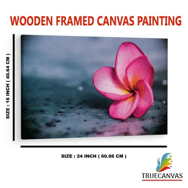 Multicolor_16_X_24_Inch,_Pine_Wood_Framed_Canvas_Paintings_|_For_Home_Decor,_Ready_To_Wall_Hanging,_Premium_Painting_|_For_|_Bedroom,_Living_Room,_Office_Wall_Decoration_|_Wall_Art_Painting,_Ct1543