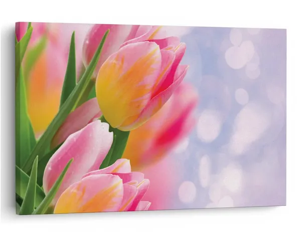 Multicolor_16_X_24_Inch,_Pine_Wood_Framed_Canvas_Paintings_|_For_Home_Decor,_Ready_To_Wall_Hanging,_Premium_Painting_|_For_|_Bedroom,_Living_Room,_Office_Wall_Decoration_|_Wall_Art_Painting,_Ct1545