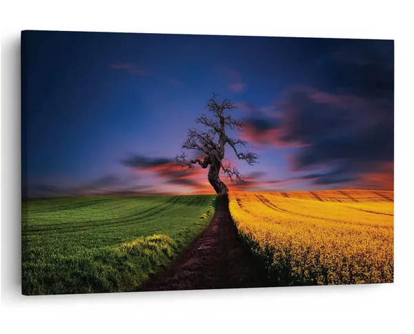 Multicolor_16_X_24_Inch,_Pine_Wood_Framed_Canvas_Paintings_|_For_Home_Decor,_Ready_To_Wall_Hanging,_Premium_Painting_|_For_|_Bedroom,_Living_Room,_Office_Wall_Decoration_|_Wall_Art_Painting,_Ct1546