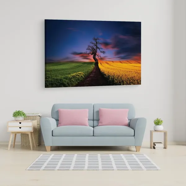 Multicolor_16_X_24_Inch,_Pine_Wood_Framed_Canvas_Paintings_|_For_Home_Decor,_Ready_To_Wall_Hanging,_Premium_Painting_|_For_|_Bedroom,_Living_Room,_Office_Wall_Decoration_|_Wall_Art_Painting,_Ct1546