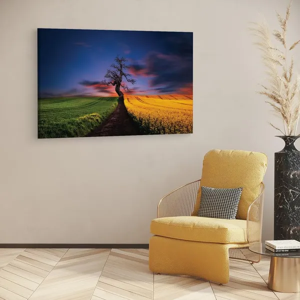 Multicolor_16_X_24_Inch,_Pine_Wood_Framed_Canvas_Paintings_|_For_Home_Decor,_Ready_To_Wall_Hanging,_Premium_Painting_|_For_|_Bedroom,_Living_Room,_Office_Wall_Decoration_|_Wall_Art_Painting,_Ct1546