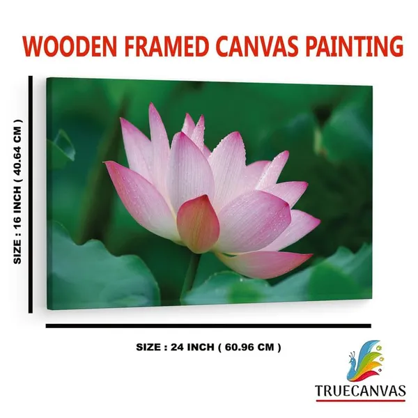 Multicolor_16_X_24_Inch,_Pine_Wood_Framed_Canvas_Paintings_|_For_Home_Decor,_Ready_To_Wall_Hanging,_Premium_Painting_|_For_|_Bedroom,_Living_Room,_Office_Wall_Decoration_|_Wall_Art_Painting,_Ct1547