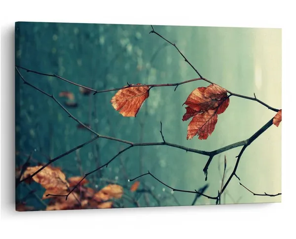 Multicolor_16_X_24_Inch,_Pine_Wood_Framed_Canvas_Paintings_|_For_Home_Decor,_Ready_To_Wall_Hanging,_Premium_Painting_|_For_|_Bedroom,_Living_Room,_Office_Wall_Decoration_|_Wall_Art_Painting,_Ct1548