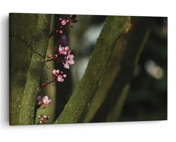 Multicolor_16_X_24_Inch,_Pine_Wood_Framed_Canvas_Paintings_|_For_Home_Decor,_Ready_To_Wall_Hanging,_Premium_Painting_|_For_|_Bedroom,_Living_Room,_Office_Wall_Decoration_|_Wall_Art_Painting,_Ct1554