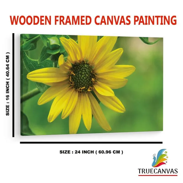 Multicolor_16_X_24_Inch,_Pine_Wood_Framed_Canvas_Paintings_|_For_Home_Decor,_Ready_To_Wall_Hanging,_Premium_Painting_|_For_|_Bedroom,_Living_Room,_Office_Wall_Decoration_|_Wall_Art_Painting,_Ct1555