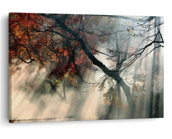 Multicolor_16_X_24_Inch,_Pine_Wood_Framed_Canvas_Paintings_|_For_Home_Decor,_Ready_To_Wall_Hanging,_Premium_Painting_|_For_|_Bedroom,_Living_Room,_Office_Wall_Decoration_|_Wall_Art_Painting,_Ct1560