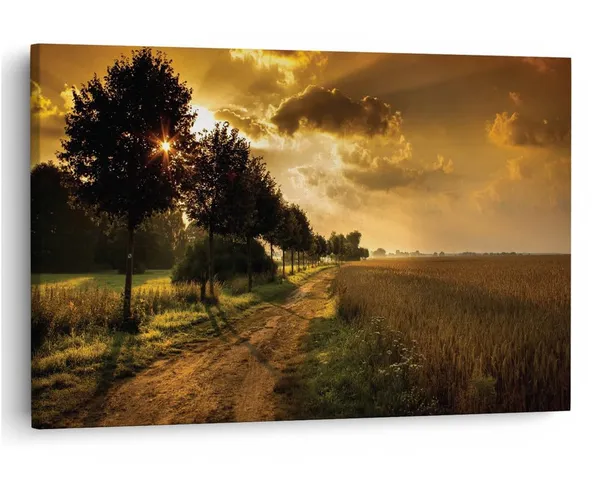Multicolor_16_X_24_Inch,_Pine_Wood_Framed_Canvas_Paintings_|_For_Home_Decor,_Ready_To_Wall_Hanging,_Premium_Painting_|_For_|_Bedroom,_Living_Room,_Office_Wall_Decoration_|_Wall_Art_Painting,_Ct1562