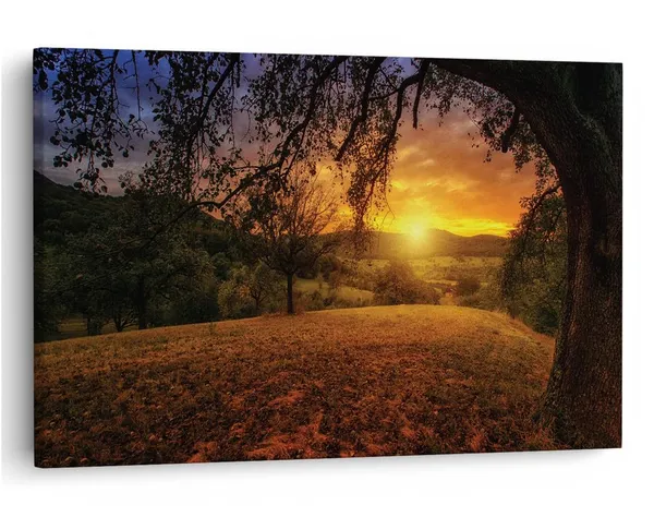 Multicolor_16_X_24_Inch,_Pine_Wood_Framed_Canvas_Paintings_|_For_Home_Decor,_Ready_To_Wall_Hanging,_Premium_Painting_|_For_|_Bedroom,_Living_Room,_Office_Wall_Decoration_|_Wall_Art_Painting,_Ct1564
