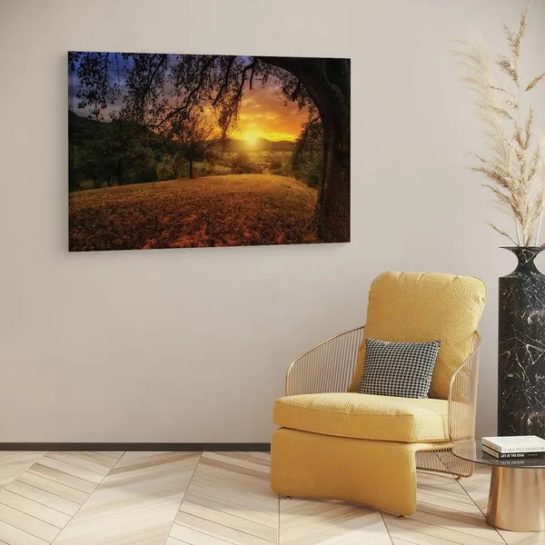 Multicolor_16_X_24_Inch,_Pine_Wood_Framed_Canvas_Paintings_|_For_Home_Decor,_Ready_To_Wall_Hanging,_Premium_Painting_|_For_|_Bedroom,_Living_Room,_Office_Wall_Decoration_|_Wall_Art_Painting,_Ct1564