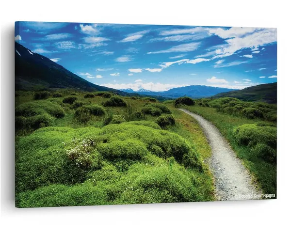 Multicolor_16_X_24_Inch,_Pine_Wood_Framed_Canvas_Paintings_|_For_Home_Decor,_Ready_To_Wall_Hanging,_Premium_Painting_|_For_|_Bedroom,_Living_Room,_Office_Wall_Decoration_|_Wall_Art_Painting,_Ct1565