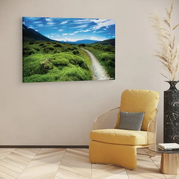 Multicolor_16_X_24_Inch,_Pine_Wood_Framed_Canvas_Paintings_|_For_Home_Decor,_Ready_To_Wall_Hanging,_Premium_Painting_|_For_|_Bedroom,_Living_Room,_Office_Wall_Decoration_|_Wall_Art_Painting,_Ct1565