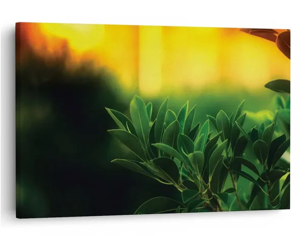 Multicolor_16_X_24_Inch,_Pine_Wood_Framed_Canvas_Paintings_|_For_Home_Decor,_Ready_To_Wall_Hanging,_Premium_Painting_|_For_|_Bedroom,_Living_Room,_Office_Wall_Decoration_|_Wall_Art_Painting,_Ct1567