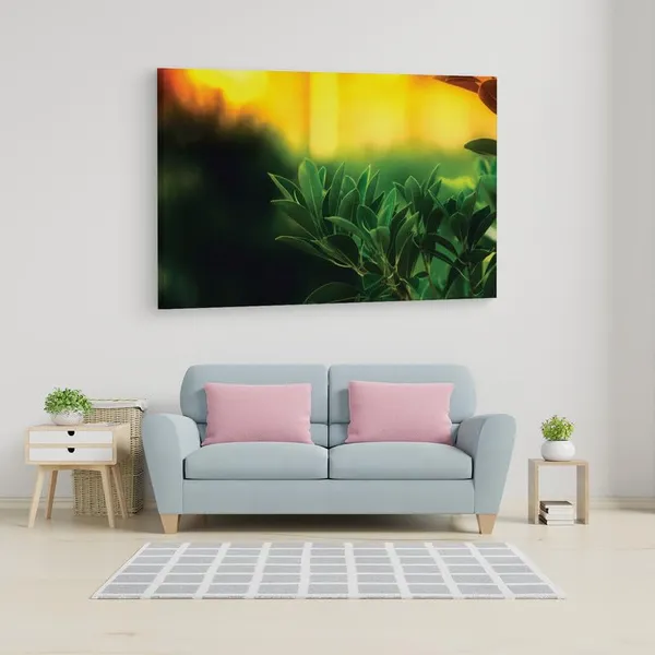 Multicolor_16_X_24_Inch,_Pine_Wood_Framed_Canvas_Paintings_|_For_Home_Decor,_Ready_To_Wall_Hanging,_Premium_Painting_|_For_|_Bedroom,_Living_Room,_Office_Wall_Decoration_|_Wall_Art_Painting,_Ct1568