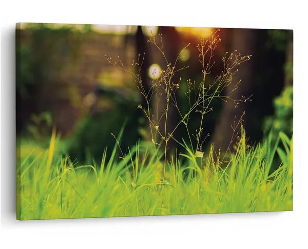 Multicolor_16_X_24_Inch,_Pine_Wood_Framed_Canvas_Paintings_|_For_Home_Decor,_Ready_To_Wall_Hanging,_Premium_Painting_|_For_|_Bedroom,_Living_Room,_Office_Wall_Decoration_|_Wall_Art_Painting,_Ct1570