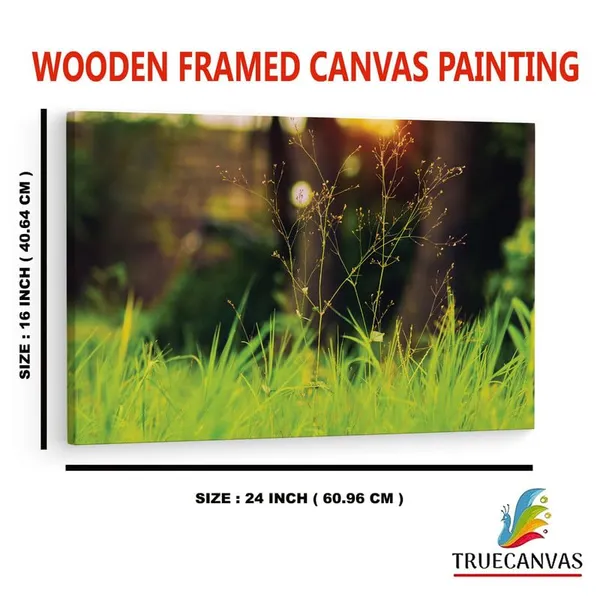 Multicolor_16_X_24_Inch,_Pine_Wood_Framed_Canvas_Paintings_|_For_Home_Decor,_Ready_To_Wall_Hanging,_Premium_Painting_|_For_|_Bedroom,_Living_Room,_Office_Wall_Decoration_|_Wall_Art_Painting,_Ct1570