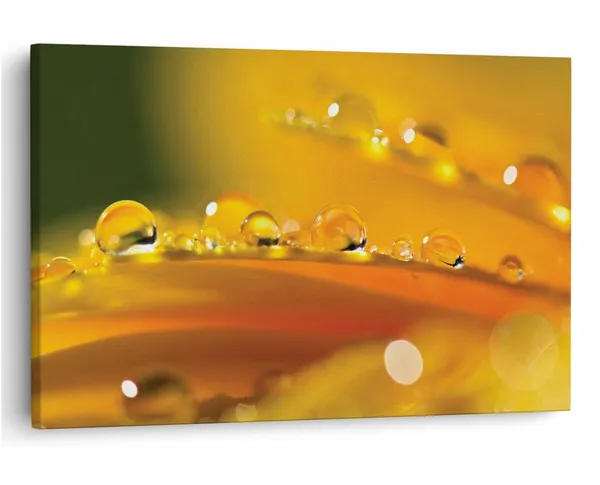 Multicolor_16_X_24_Inch,_Pine_Wood_Framed_Canvas_Paintings_|_For_Home_Decor,_Ready_To_Wall_Hanging,_Premium_Painting_|_For_|_Bedroom,_Living_Room,_Office_Wall_Decoration_|_Wall_Art_Painting,_Ct1573